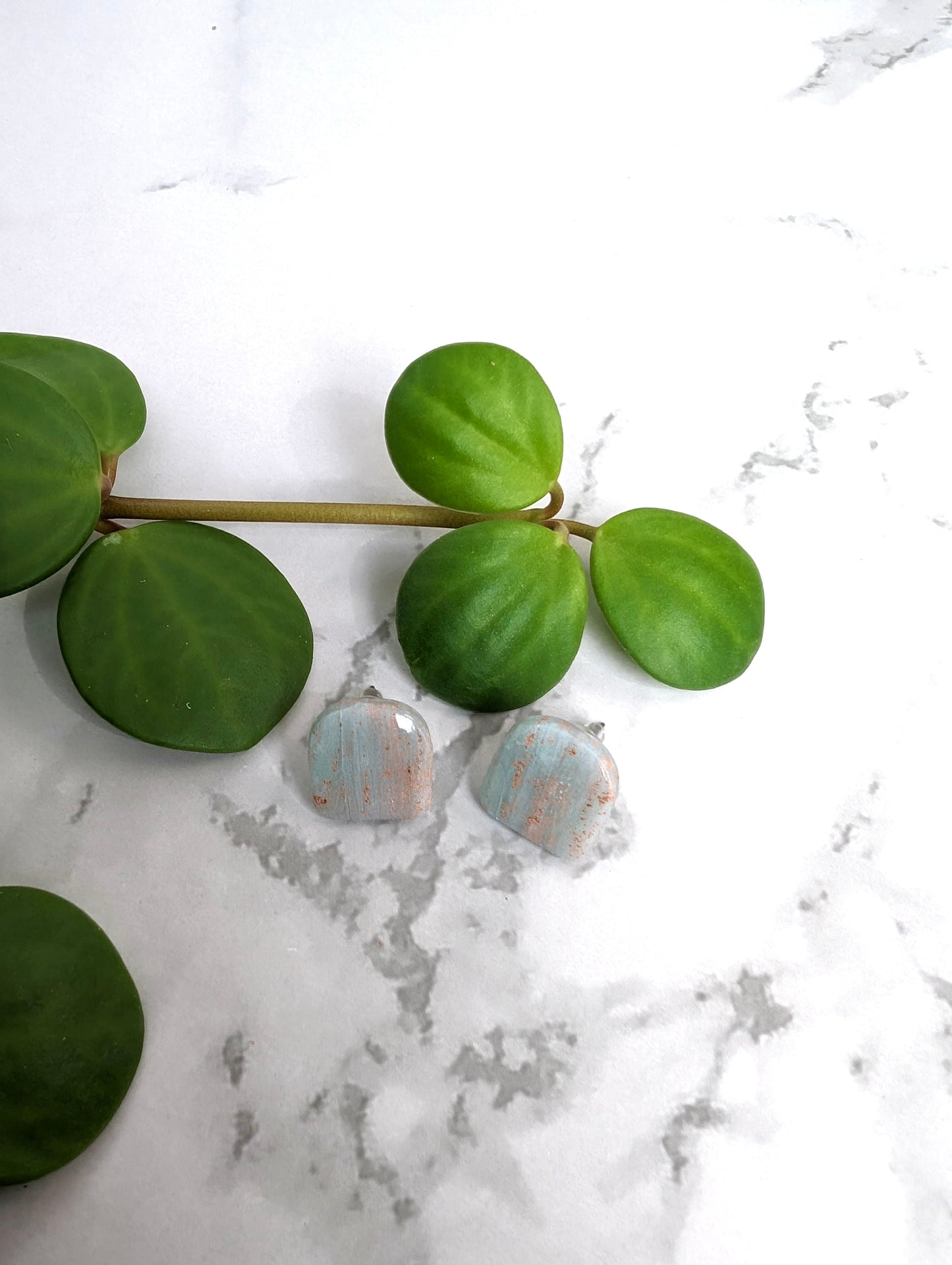 Brise Marine - Orbillon