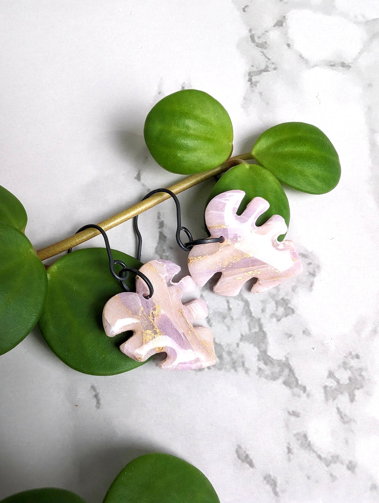 Sable Rose - Monstera