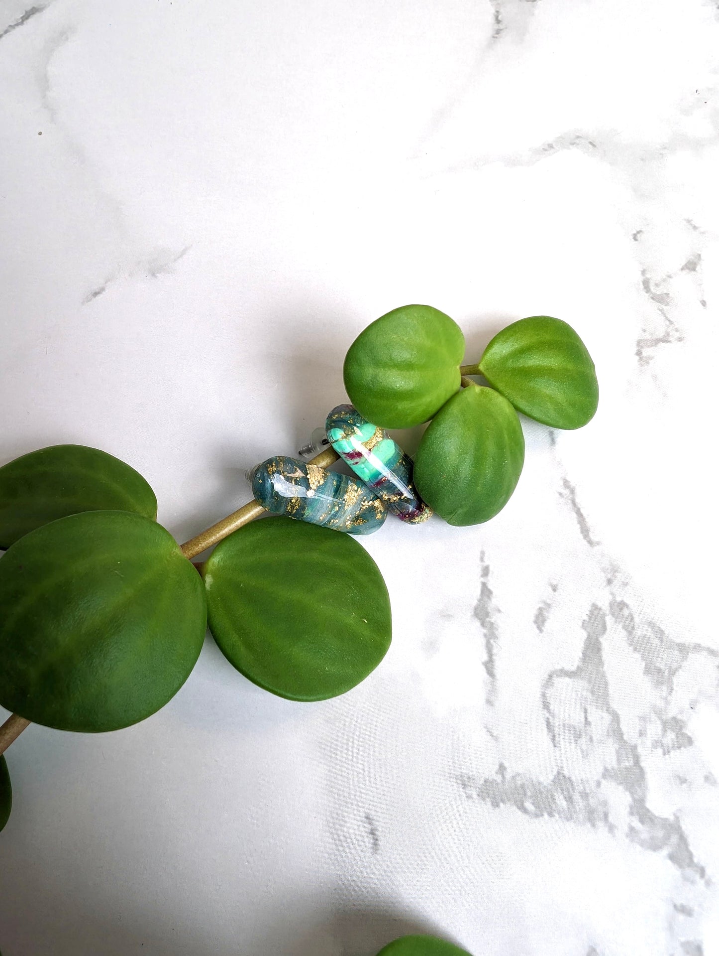 Forêt Mouchetée - Frémisses